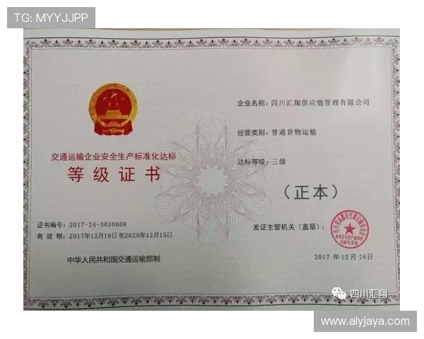 亚星入口账号安全登录技巧分享提升用户账户安全等级